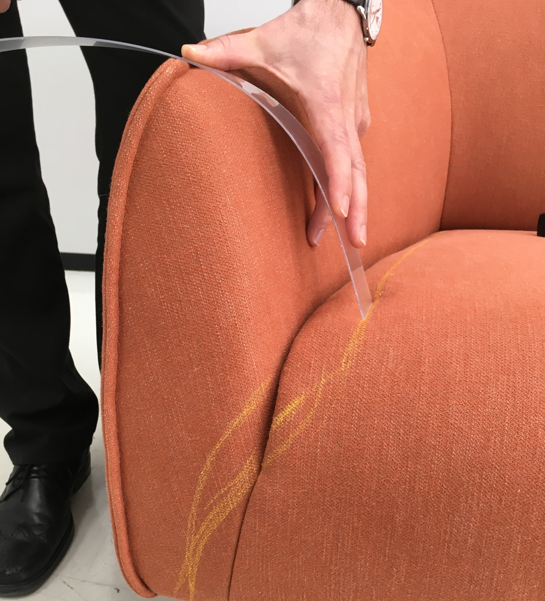 freistil 132 sofa with sculptural curved silhouette in contemporary interior