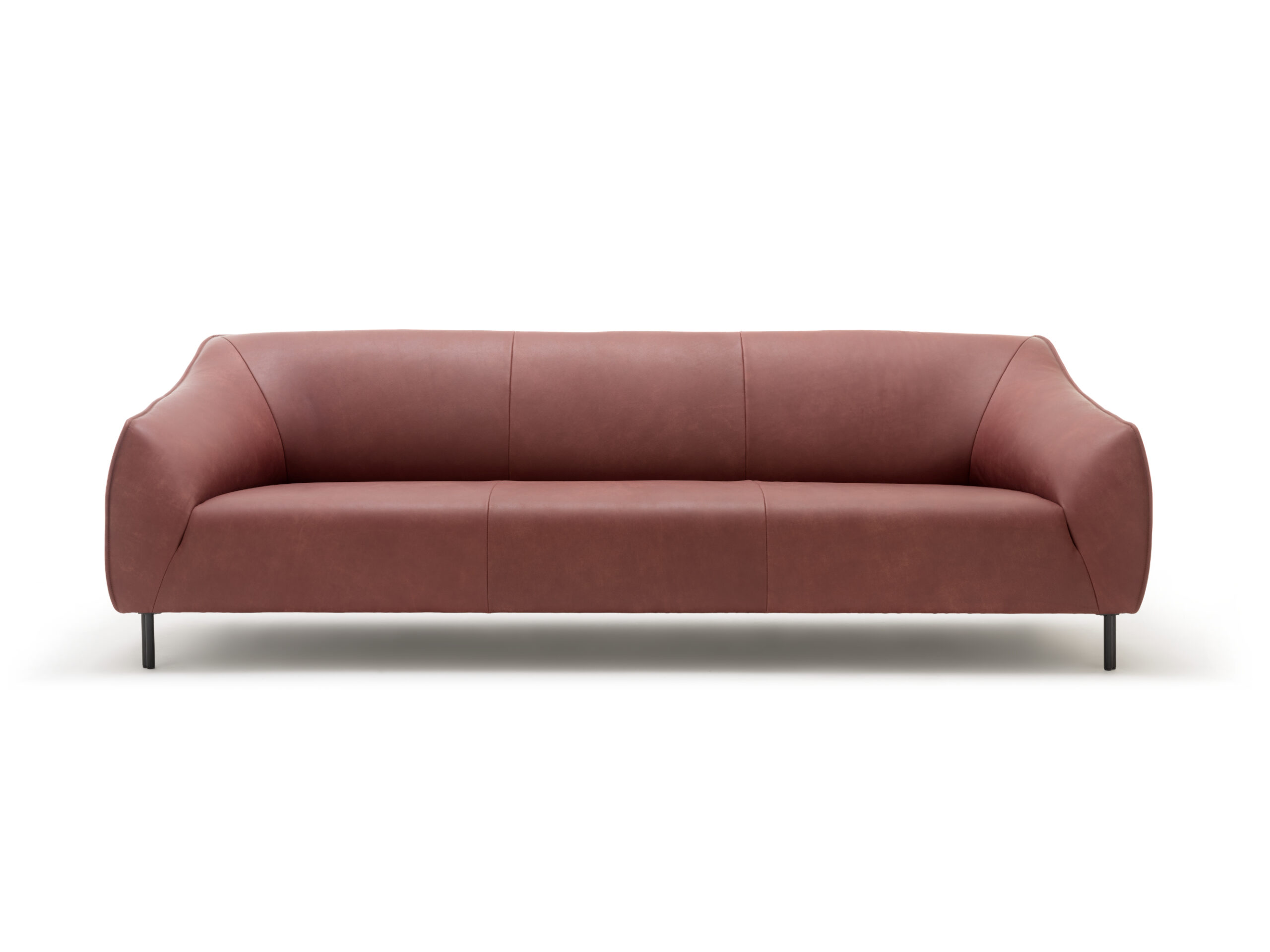 freistil 132 sofa with sculptural curved silhouette in contemporary interior