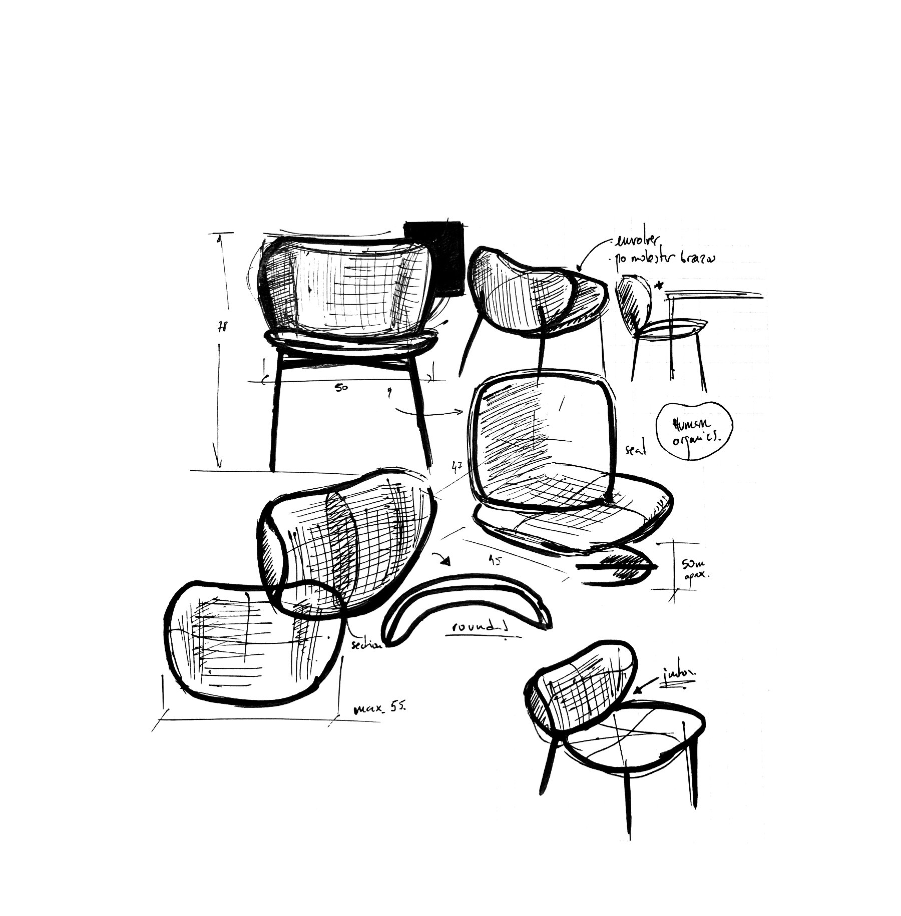 Eve Dining Chair in contemporary dining interior