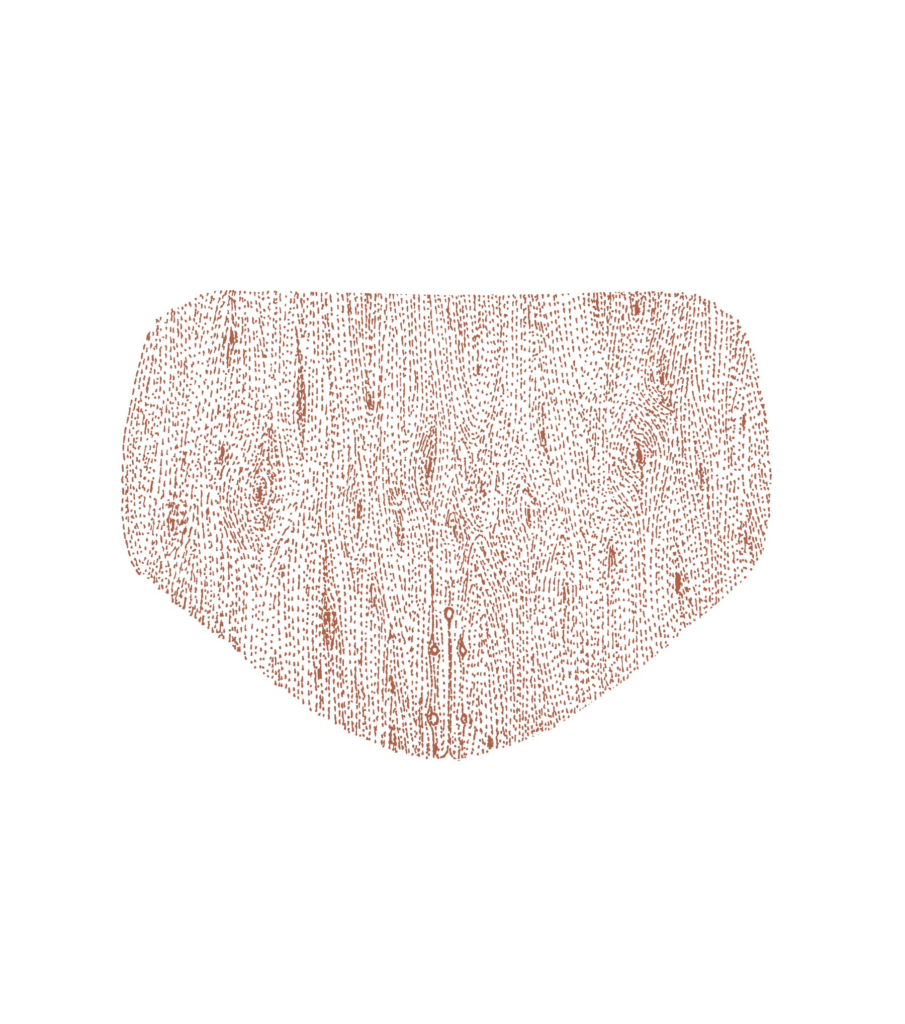 Contemporary upholstered chair with rounded organic silhouette inspired by the soft curves of a ladybird