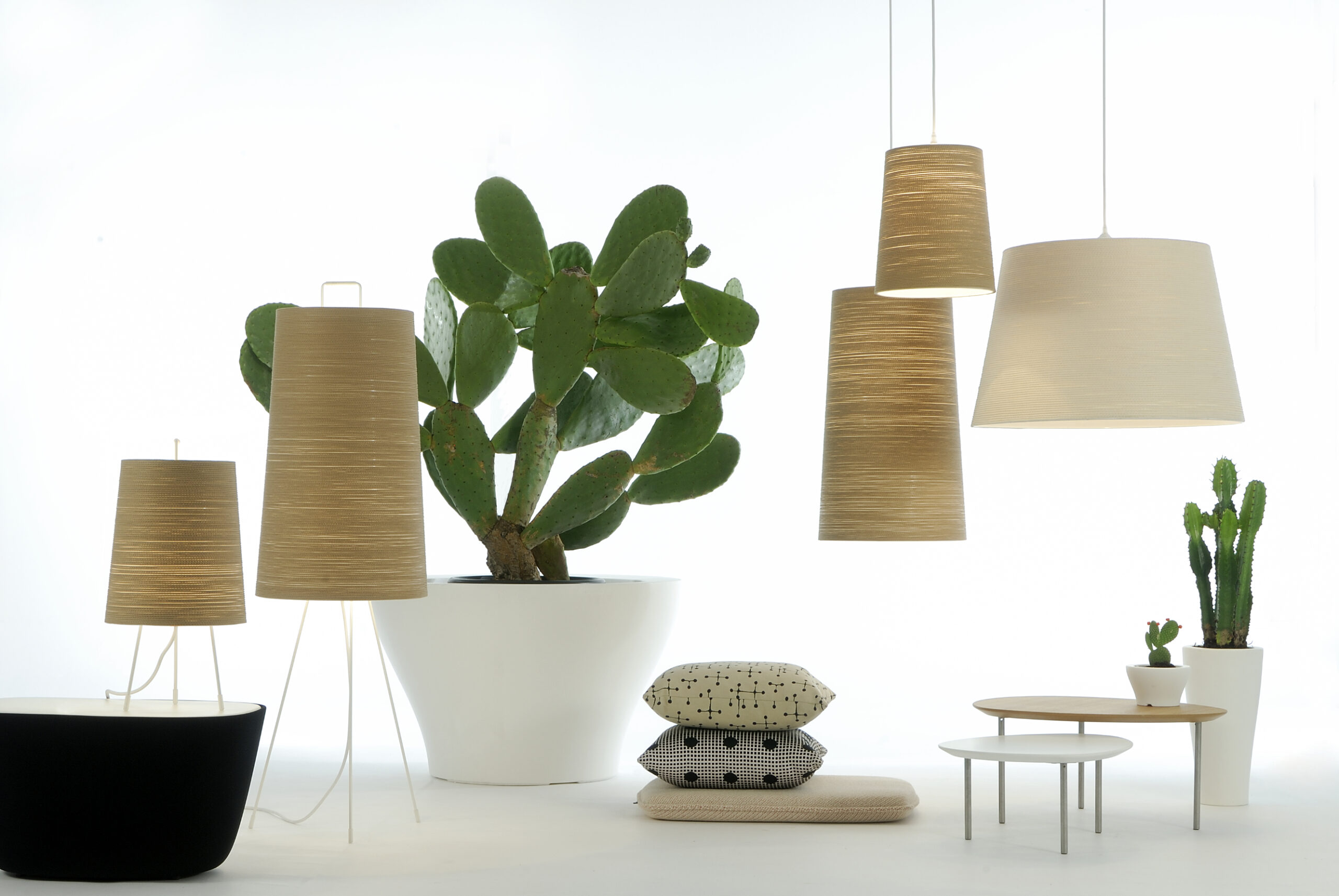 Tali lamp family with soft organic silhouettes in interior space