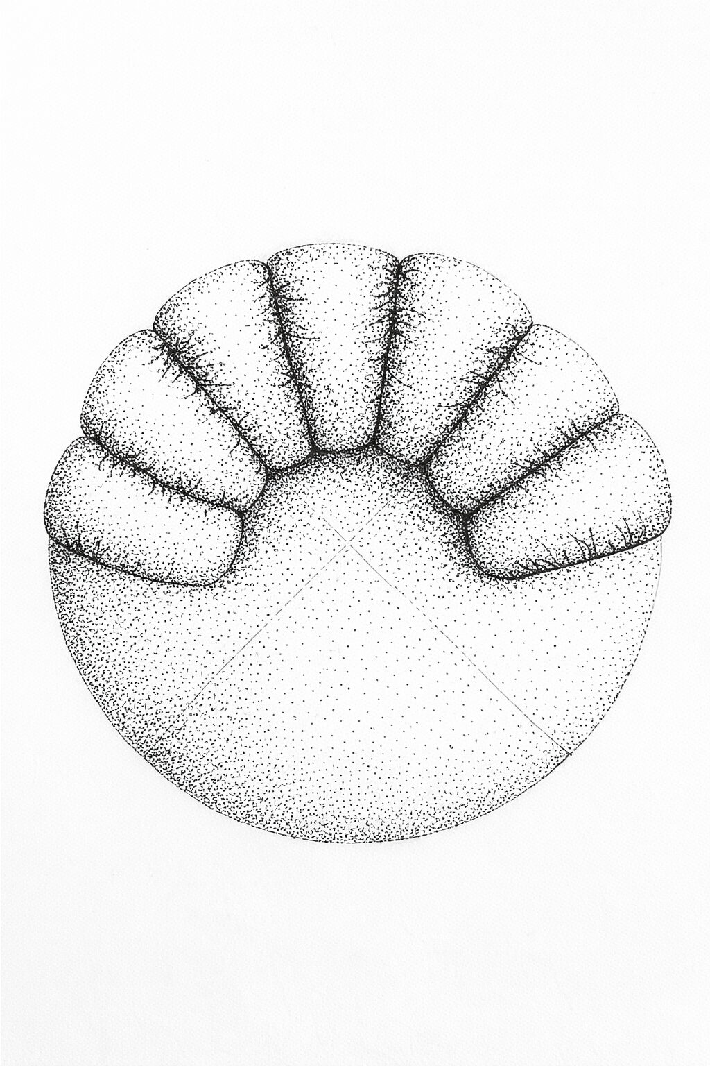 Upholstered lounge chair with circular base and segmented padded backrest, soft sculptural design. Sketch